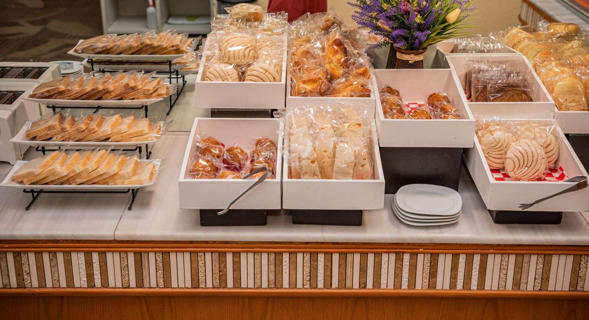 Holiday Inn La Piedad By Ihg Εξωτερικό φωτογραφία